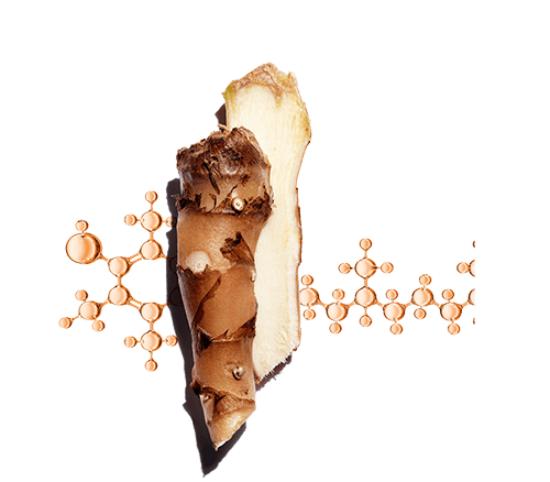 El dúo de extracto de lirio de jengibre y de vitamina E ayuda a proteger la piel del estrés oxidativo, para combatir el envejecimiento y la pérdida de luminosidad