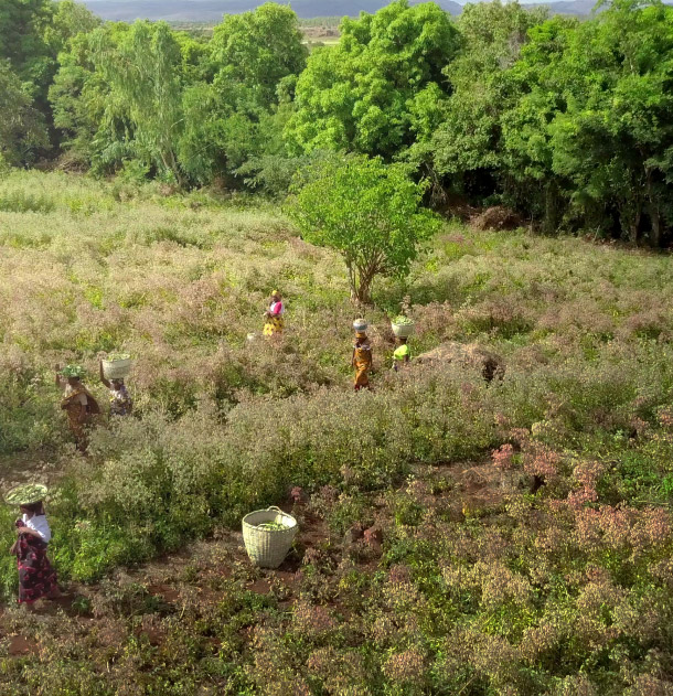 Imagen lugares de trabajo respetuosos